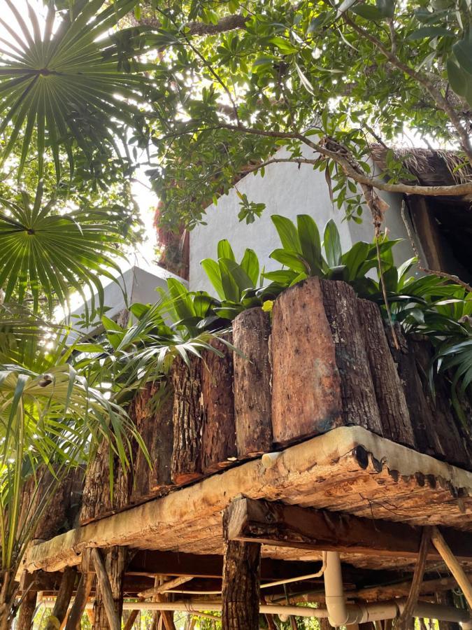 Roc Jungle Tulum Exterior foto